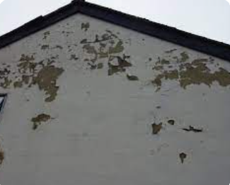Penetrating damp cracked and damaged rendering