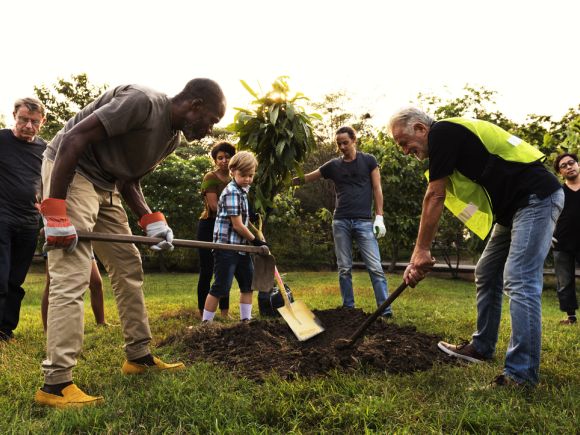 Group of people digging