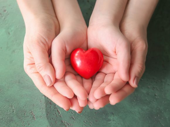 Hands holding a heart