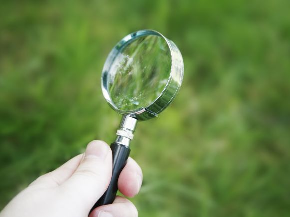 A person holding a magnifying glass above grass