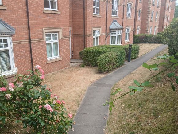 Communal area - path