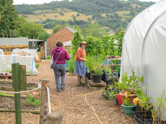 Wild Works Hurst Farm Matlock Tame