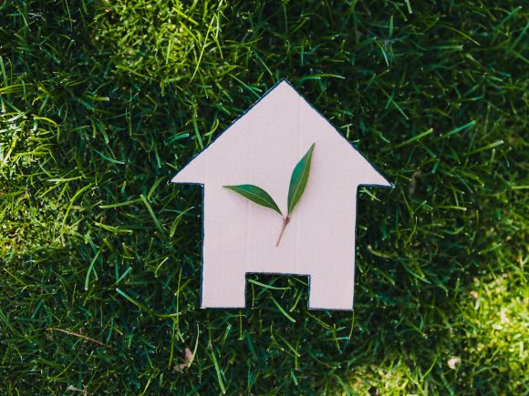 Green patch of grass with a graphic of a white house lay on it.