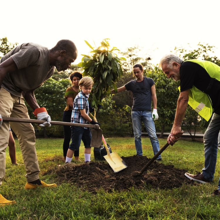 Group of people digging