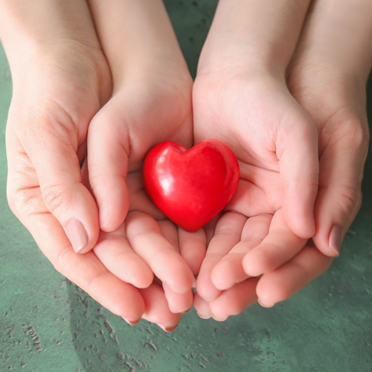 Hands holding a heart