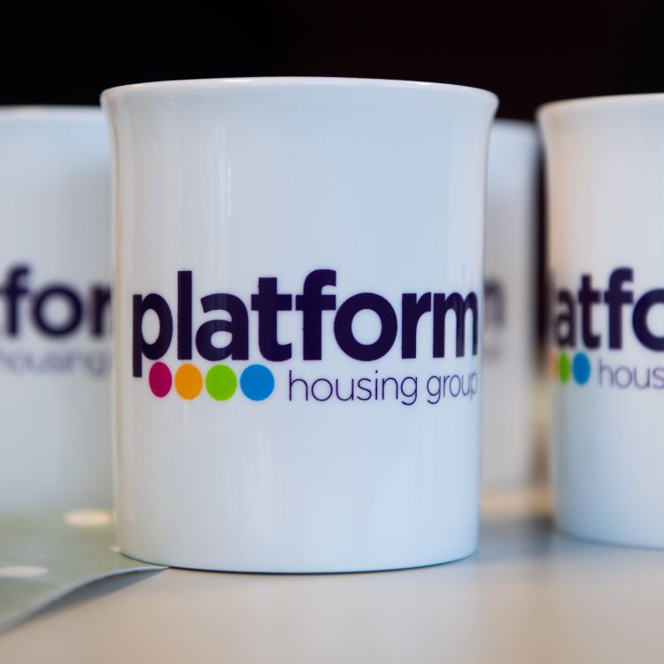 Platform Housing Group mugs