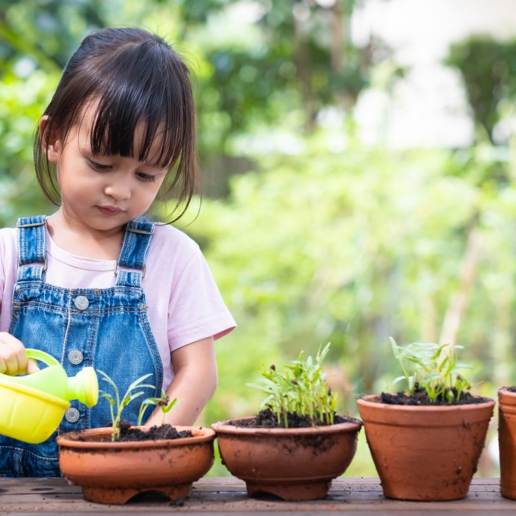 A young child wearing denim overalls waters small plants in terracotta pots with a yellow watering can on a wooden table in a garden.