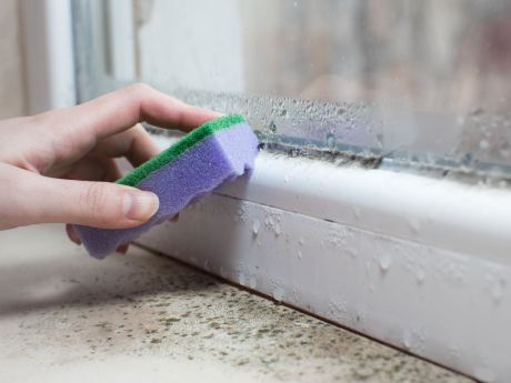 sponge cleaning window