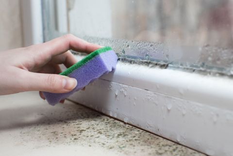 sponge cleaning window
