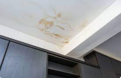 Penetrating damp through a leaking roof