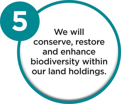 We will conserve, restore and enhance biodiversity within our land holdings